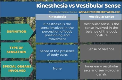 This therapeutic procedure is provided for the purpose of restoring balance, coordination, <b>kinesthetic</b> <b>sense</b>, posture, and proprioception (e. . Compare contrast the kinesthetic sense vs the vestibular sense